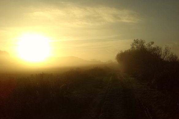Blacknoll Sunrise from Egdon Heath